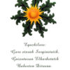 Eguzkilore Poliresina - Imagen 2